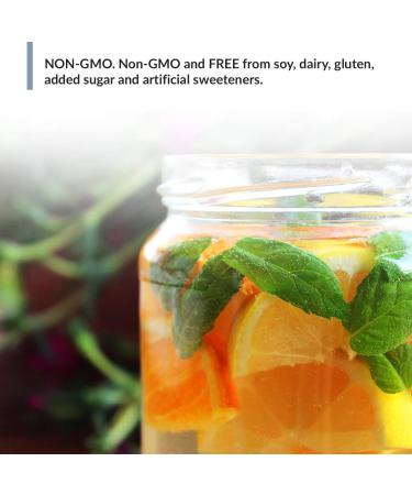 Mojo H2O Natural Water Enhancer Drops with B Vitamins and Electrolytes - Energy Support, Sugar-Free, Zero Calories - Mandarin Orange Flavor (4 pk) - Buy Online on GoSupps.com