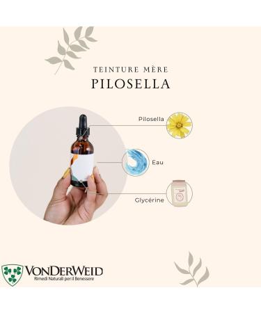 Vonderweid - Pilosella Alcohol Free Mother Tincture | Glycerin Macerate | Pilosella Drainage | Ultrasonic Extraction | Pilosella Hieracium Supplement | Vegan Alcohol Free | 100ml - Buy Online on GoSupps.com