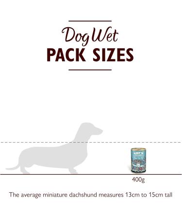 Lily's Kitchen Natural Wet Dog Food - Grain-Free Fish P t for Adults (6 x 400g) - Healthy & Delicious - Buy Online on GoSupps.com
