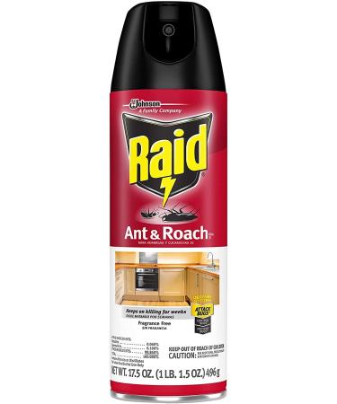 Raid Ant and Roach Killer 1.09 lb (Pack of 4) | Fragrance-Free Formula - Buy Online on GoSupps.com