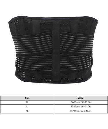 TBES Lordosis Support Belt | Comfortable Steel Plate Back Support & Double Compression Waist Belt | XL 59 60 cm | International Shipping Available - Buy Online on GoSupps.com