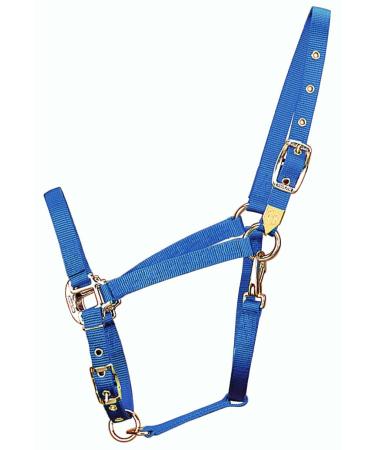 Hamilton 3/4-Inch Nylon Arabian Horse Waller with Adjustable Chin and Throat Snap Small 500 to 800 Pounds Berry Blue Small 500 To 800 Pounds Blue (Berry Blue)