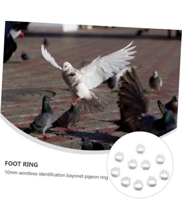 Sosoport 100 Pcs Pigeon Anklet Chicken Drumsticks Dove Lovebird Pigeons Identification Ring Charm Xuan Feng 1.3X1.3CM White - Buy Online on GoSupps.com