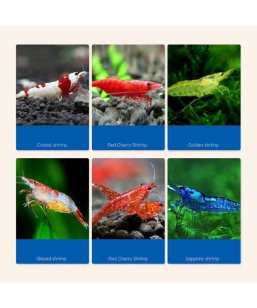 Fish Food BMBN 30g/60g/150g Aquarium Small Fish Brine Shrimp Eggs Artemia Forages Nutrition Eggfood for Guppy - Buy Online on GoSupps.com