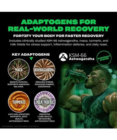 Mutant Big Greens | Green Supplement | Over 40 superfoods Land & Sea Greens Reds Antioxidants phytonutrients 1000mg spirulina Pre & Probiotic Blend | 30 Serving Just Chocolate Chocolate 8.68 Ounce (Pack of 1) - Buy Online on GoSupps.com