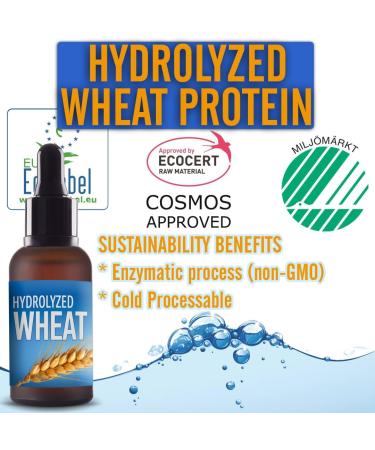 Buy Hydrolyzed Wheat Protein Liquid - 2oz for Hair Skin & Body Care - Ideal for DIY Shampoos & Conditioners - 2 Vials with Pipette & Screw Cap - International Shipping Available - Buy Online on GoSupps.com