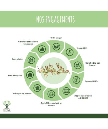 BIOPTIMAL - Artemisia Bio - Dietary supplement - 100% wormwood powder - Appetite Menstrual Cycle Kidney Health - Made in France - Ecocert certified - Vegan - 60 capsules - Buy Online on GoSupps.com