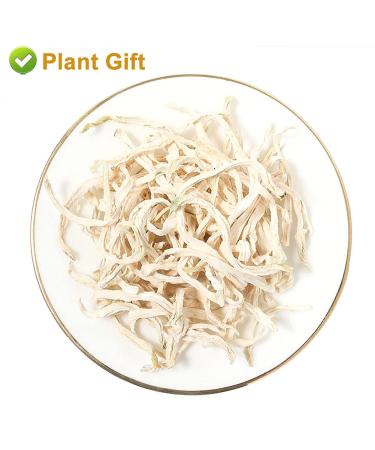 Buy 100% Organic Dried Papaya - 30g Natural Herbs for Digestion Enzymes | DRIDDADA - Buy Online on GoSupps.com