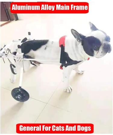 Dog Wheelchair Dog Wheelchair for Back Legs 2 Wheel Pet Wheelchair Rehabilitation Wheelchair Walk Tool Mobility Scooter Dog Wheelchair Portable XXXS - Buy Online on GoSupps.com
