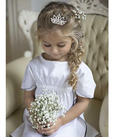 Brinie Mini Blue Crystal Tiara Bridal Hair Comb Clip - Princess Crown for Girls - Birthday Gift (Silver) - Buy Online on GoSupps.com