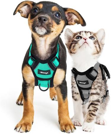 Breakproof Cat Leash Set with Adjustable Soft Vest & Reflective Stripes | Gray XS Cat Dishes for Small Kittens - Buy Online on GoSupps.com