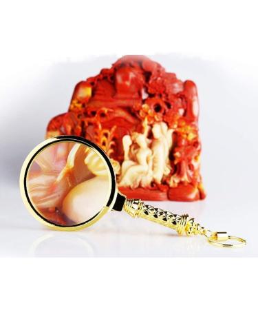 6 Times Handheld HD Magnifier Old Man Hand Reading 90mm Optical Glass Lens Plate - Buy Online on GoSupps.com