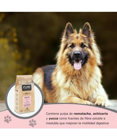 Avantis Pet Pure Oceanic Adult - Food for Adult Dogs of All Breeds with Sensitive Stomachs - 12 kg - Dry Food for Dogs with Digestive Disorders - Highly Digestible with Salmon - Buy Online on GoSupps.com