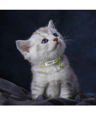 Tagme 2 Pack Cat Collar with Name & Phone | Adjustable Safety Clasp & Bell | Green Kitten Necklaces (15-20 cm) - Buy Online on GoSupps.com