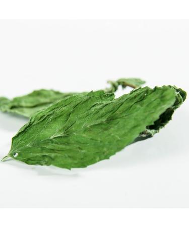 Feuilles de menthe poivr e naturelles 500g / 17 63 Feuille de Menthe S ch e Saine Tisane - Relaxante et D licieuse - Buy Online on GoSupps.com