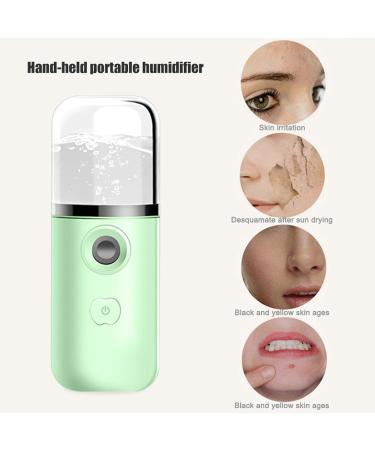 Nano Mister for Lash Extensions - Portable Nano Ionic Mist Sprayer - Face Facial Sprayer for Skin Care Refreshing Revitalizing & Soothing - Face Steamer for Daily Use Green - Buy Online on GoSupps.com