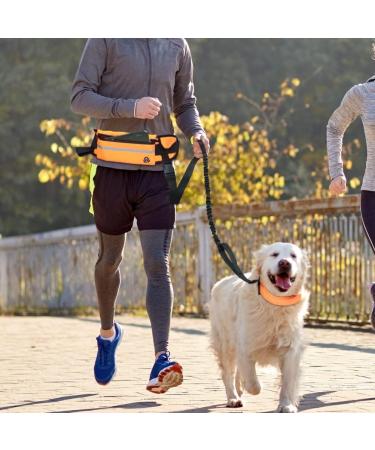 Boxwizard Dog Jogging Lead with Belly Strap Dog Lead for Small Dog Lead Zip Pocket Reflective Running Lead Belt Bag Outdoor Jogging Walking Night Running Black Waist Bag Average code - Buy Online on GoSupps.com