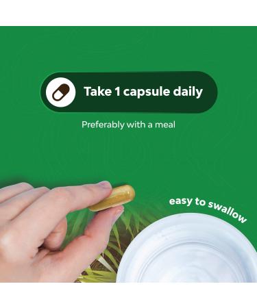 Saw Palmetto Extract Capsules - Hair Growth Supplement for Men & Women - Promotes Faster Growth with Hair Vitamins - 100% Pure Formula - Buy Online on GoSupps.com