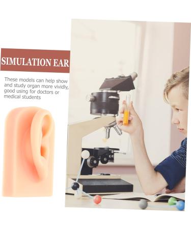 Baluue Silicone Simulation Ear Model for Jewelry Practice and Display - Khaki Prosthesis Earring Display - Buy Online on GoSupps.com