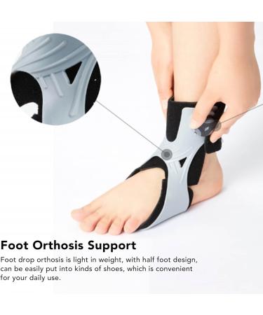 Rotary Buckle Ankle Foot Orthosis Support for Walking | Hemiplegia Aid (Left Foot M) - Buy Online on GoSupps.com