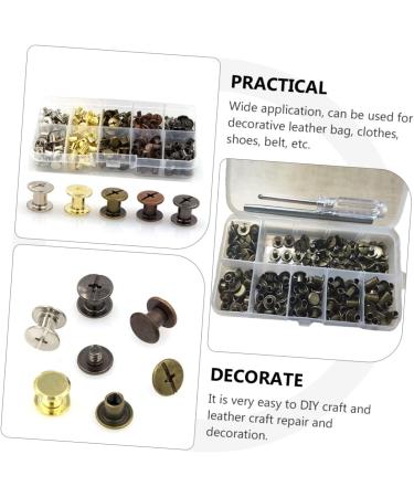 EXCEART 100 Sets Lash Rivet Boxed Diy Crafts Brass Rivets Double- Sided Rivets Diy Studs Self Made Component Assorted Color 0.8x0.8cm - Buy Online on GoSupps.com