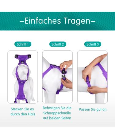 POPOTET Soft Breathable Mesh Dog Harness - Adjustable Double Padded Vest - Suffocation-Free - Violet Medium (1 Pack) - Buy Online on GoSupps.com