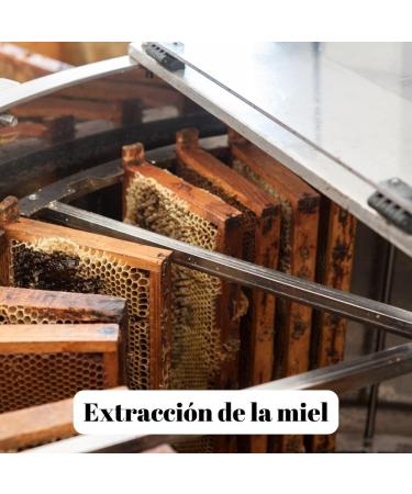 L'abella Mel - Acacia Honey - Natural Honey (1 kg) - Buy Online on GoSupps.com