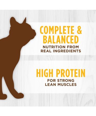 Instinct Grain Free Chicken Pate Wet Cat Food - Variety Pack of 12 (5.5oz) - Buy Online on GoSupps.com