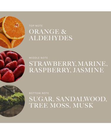 Aroma360 Paradise Lost Oil Blend | Luxury Essential Oil Diffuser | Aromatherapy Scent - Orange Raspberry & Marine - 6.7 fl oz (200 mL - Buy Online on GoSupps.com