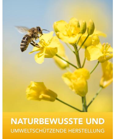 North Bush Propolis Tincture 50ml - 30% Propolis Extract | Premium Beekeeping Quality Propolis Drops for Immune Support - Buy Online on GoSupps.com
