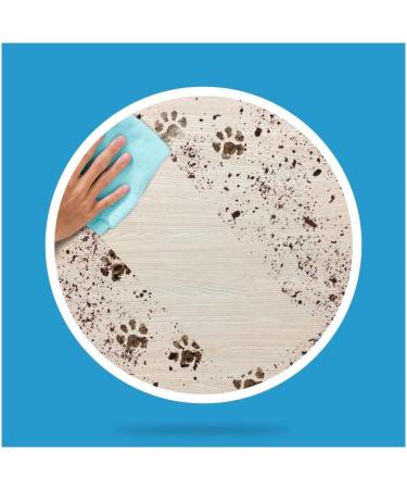 Flash for Pet Lovers Floor Cleaner Removes Pet Odour & Messes Multi-Purpose Liquid Cleaner with a Touch of Febreze Freshness 1L + Our Gift for You - Organza Bag Size 9x7x0.1cm - Buy Online on GoSupps.com