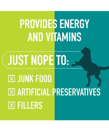 RUN TWO THREE Freeze Dried Nibblers - Ultra Premium Dog Treats - All Natural, High Energy Proteins - Turkey Sweet Potato Recipe - Made in USA - Buy Online on GoSupps.com