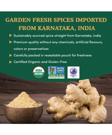 Organic Ginger Powder (397g/14 OZ) - 100% Raw Ground Ginger Root from India | Spice Train Gingerol for Cooking, Baking, Smoothies & Tea - Buy Online on GoSupps.com