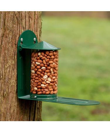 Green Metal Wild Squirrel Feeder - Garden squirrel feeding for wildlife Discourage squirrels from raiding and damaging bird feeders by providing them with their own dedicated feeder. - Buy Online on GoSupps.com
