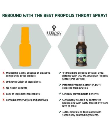 Bee and You Raw Honey Throat Spray, 100% Pure Propolis Extract, Immune Support, Sore Throat & Congestion Relief, Oral Health, Antioxidants, Natural, Keto, Paleo, Gluten-Free | 1 FL Oz (Pack of 2) - Buy Online on GoSupps.com