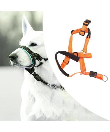Dog Handlebars with Seat Belt - XL Orange Pet Halter for Safe Outdoor Walking | Prevent Pulling - Buy Online on GoSupps.com