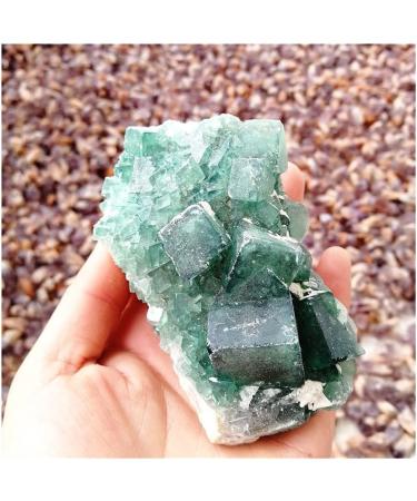 Natural Crystal Rough Natural Crystal Rough Natural Green Fluorite Specimen Cluster Crystal specimens Stones and CrystalsCrystal (Size : 150-250g) - Buy Online on GoSupps.com