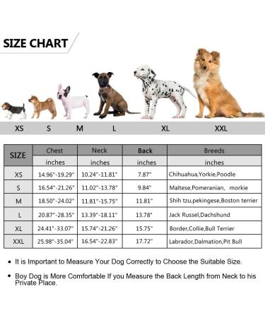 Buy Queenmore Dogs Life Jacket - Ripstop Swimming Vest for Small Medium & Large Dogs - Lifeguard Dog Vest with Lifting Handle - Perfect for Kayaking & Swimming (XS Blue) - Buy Online on GoSupps.com