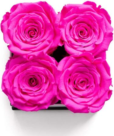 Soho Floral Arts | Roses in A Box | Genuine Roses that Last for Years (White Square 4ct  Radiant Pink) | Mothers Day Gifts White Square 4ct. Radiant Pink - Buy Online on GoSupps.com