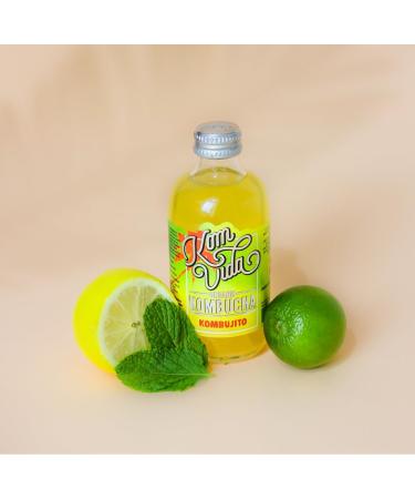  Komvida Kombucha - Komvida - Multi-flavor Kit - 12 x 250ml bottles - Chilled delivery - Buy Online on GoSupps.com