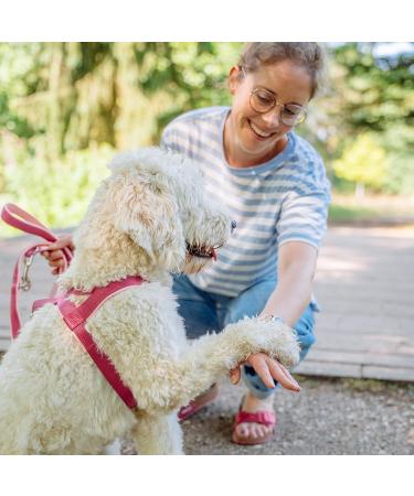 Nobby Norwegians Classic Preno - Raspberry/Pink - 50-64 cm - Durable Pet Accessory - International Shipping Available - Buy Online on GoSupps.com