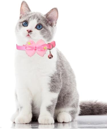 3-Piece Adjustable Cat Collars with Safety Lock | Cute & Durable Kitten Collars for Cats & Puppies (19-32 cm) - Buy Online on GoSupps.com