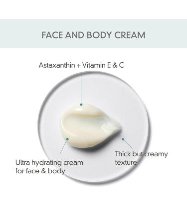 ROVECTIN Barrier Repair Moisturizing Cream | Intense Panthenol & Ceramide Lotion | Anti-Aging Astaxanthin | Hypoallergenic Vegan Korean Skincare (6.1 fl oz) - Shop Internationally - Buy Online on GoSupps.com