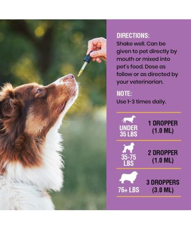 Yeast Infection Treatment for Dogs | 4 oz Soothing Relief for Itching Ear Infections & Inflammation - Buy Online on GoSupps.com