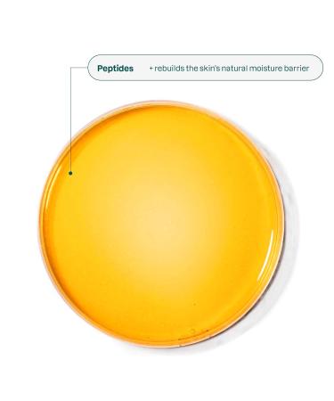 ATTITUDE Oceanly Eye Cream Stick - EWG Verified Vegan Plastic-Free Plant-Based Ingredients | Unscented Anti-Aging Skincare - 0.3 oz - Buy Online on GoSupps.com