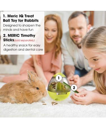 Meric Rabbit IQ Treat Ball - Interactive Slow Feeder Toy for Mental & Physical Exercise - Green - Buy Online on GoSupps.com