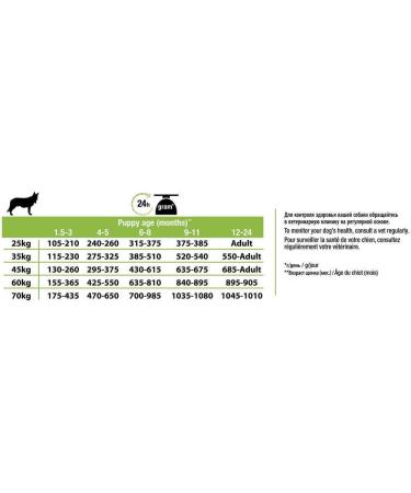 PURINA PRO PLAN | Large Robust Puppy 2 Healthy Start | Rich in Chicken | Dry Food | Puppy | 12kg Bag - Buy Online on GoSupps.com