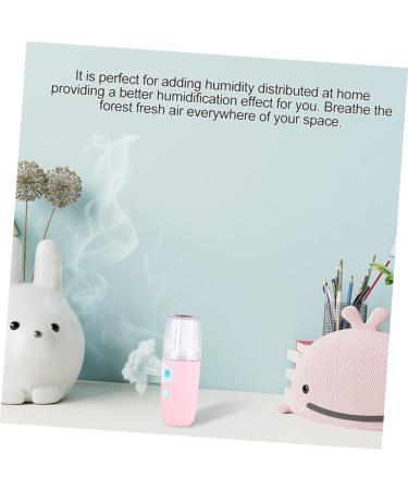 MAGICLULU 2 Pack Moisturizing Facial Humidifier Nano for Skin Hydration Pot Facial Steamer Mist Hydrating ABS Rose Facial Spray - Buy Online on GoSupps.com