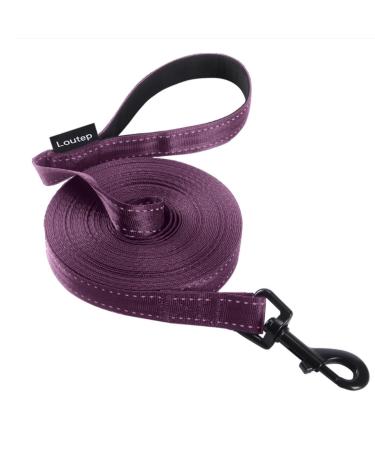 Loutep Reflecting Training Lines for Dogs 3 m 5 m 10 m 15 m 20 m 25 m 30 m strong nylons rope extra long leash dog leash with padded handle for large medium -sized and small 5 m reflective violet