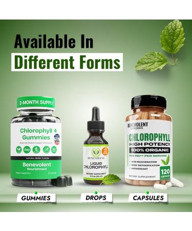 Chlorophyll Liquid Drops - Energy Boost & Immune Support | Internal Deodorant | Altitude Sickness Relief | Premium Quality Natural Formula | Minty Taste | 2X Absorption - Buy Online on GoSupps.com